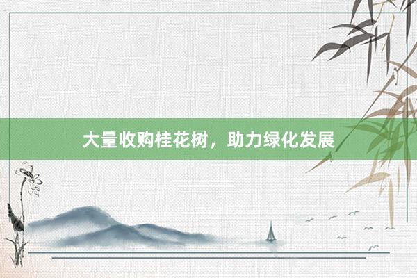 大量收购桂花树，助力绿化发展